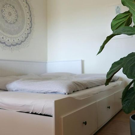 Panorama Apartment Sagres *Pool* المظهر الخارجي الصورة