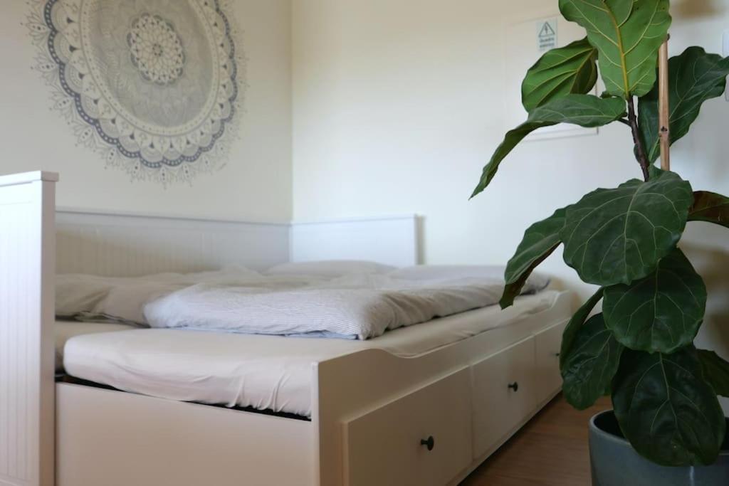 Panorama Apartment Sagres *Pool* المظهر الخارجي الصورة