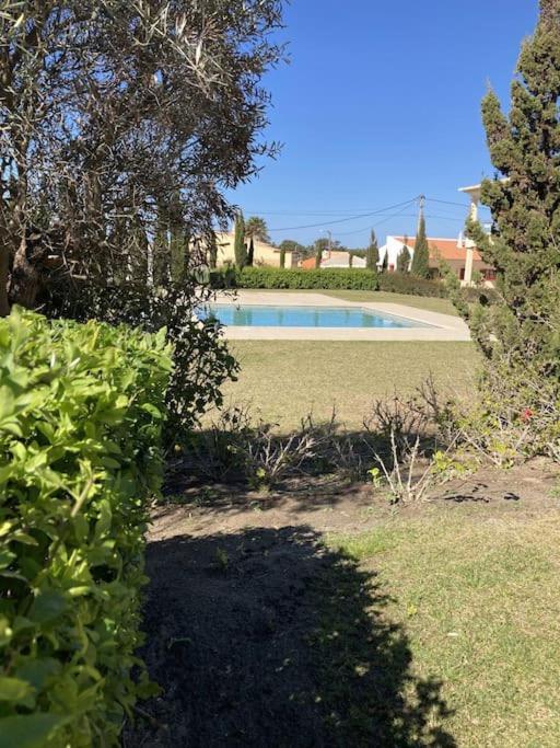 Panorama Apartment Sagres *Pool* المظهر الخارجي الصورة