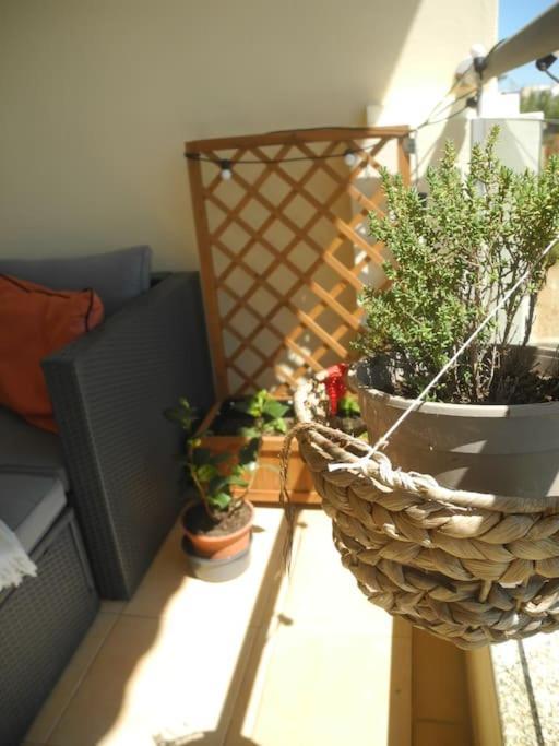 Panorama Apartment Sagres *Pool* المظهر الخارجي الصورة
